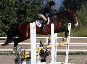 AK Hunter Jumper Ass2