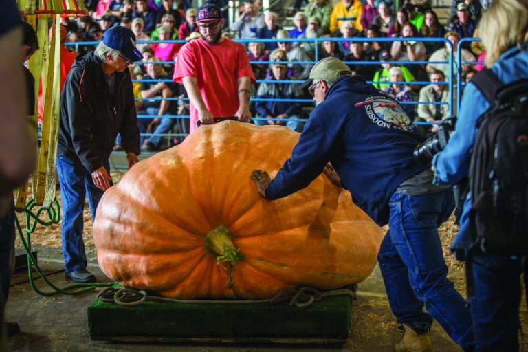 Pumpkin WeighOff Alaska State Fair