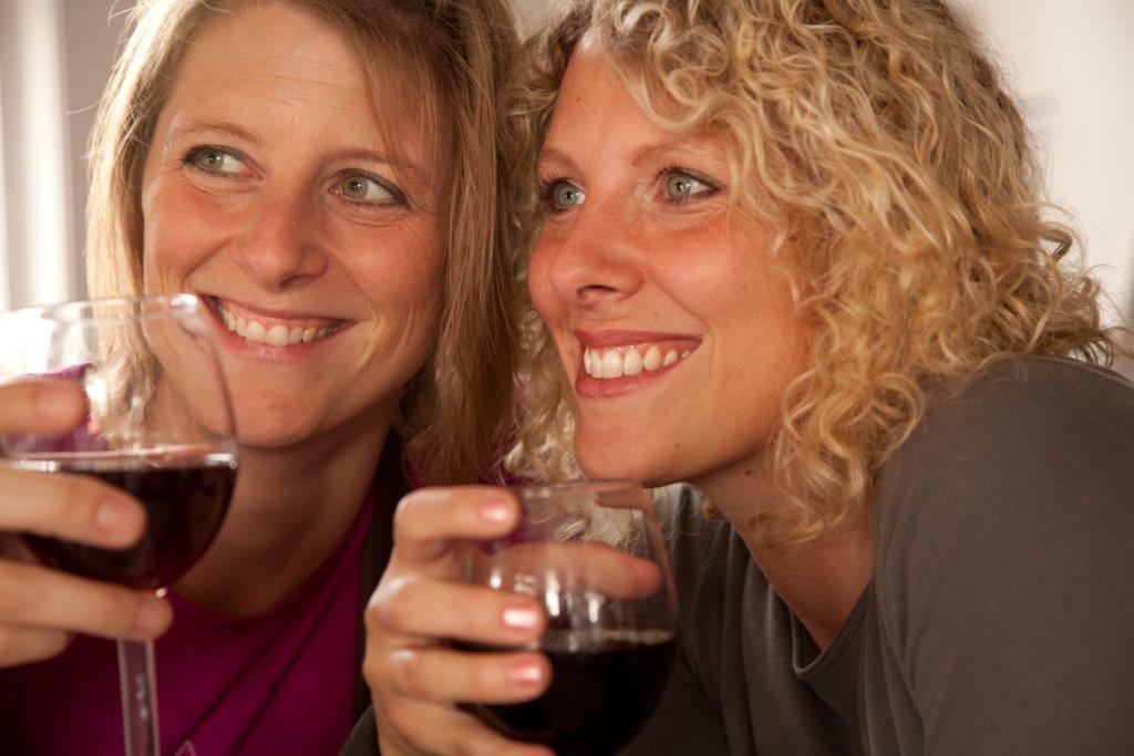 Wine Tasting with Wine Styles, Come taste a variety of fine wines
