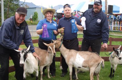 Staff Goat milking winners