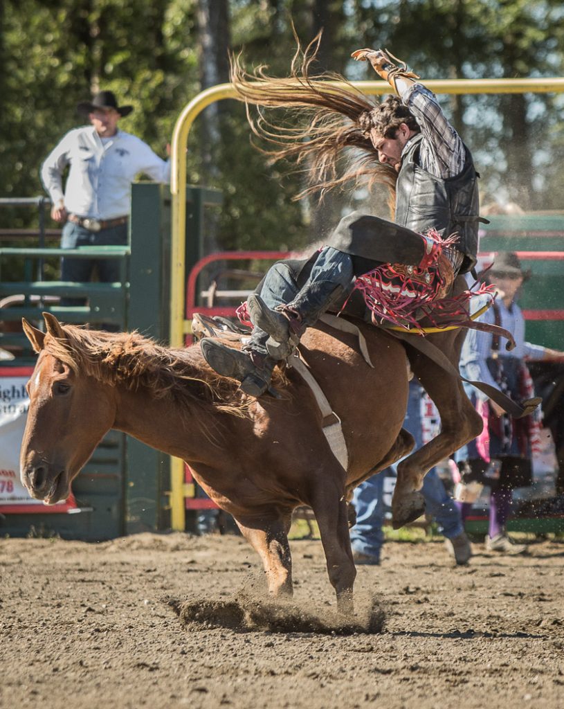 ASF Rodeo, man falling - Alaska State Fair