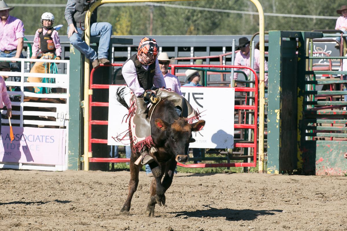 Rodeo - Bull Rider