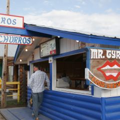 Mr. Gyro