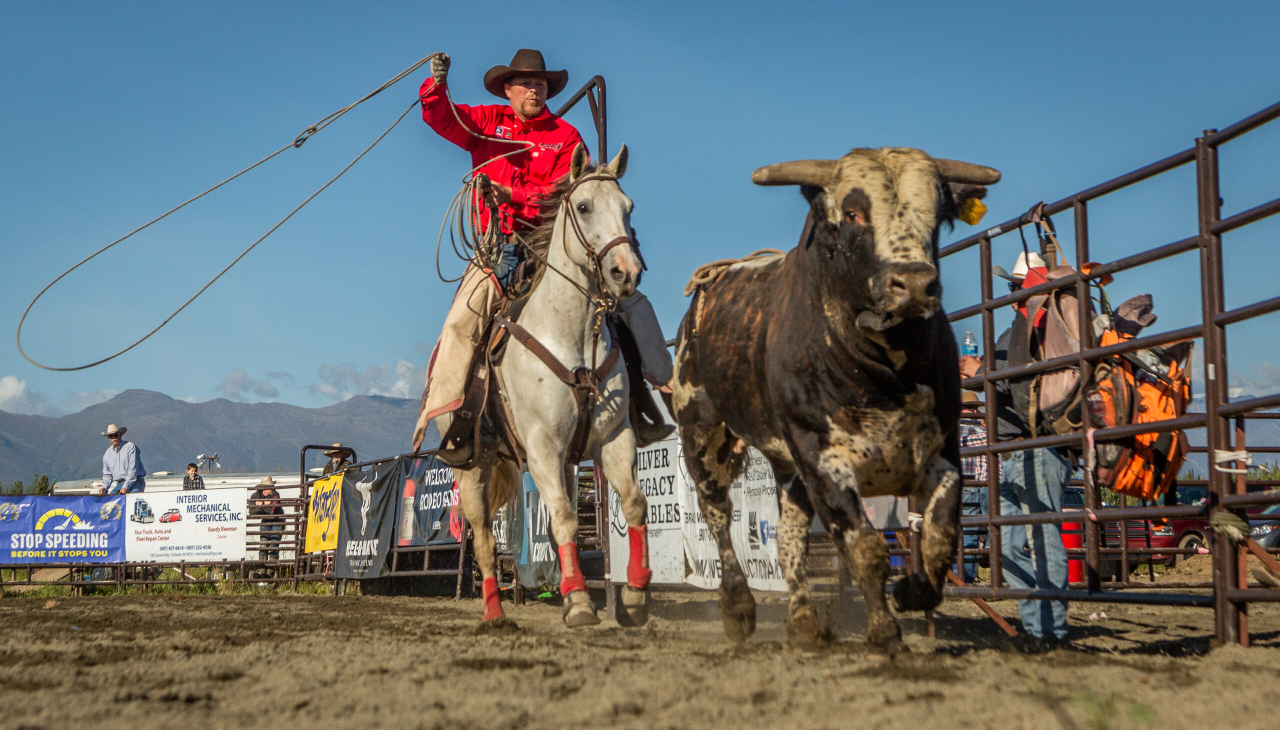 Rodeo Alaska Champions Tour Rodeo Finals Alaska State Fair