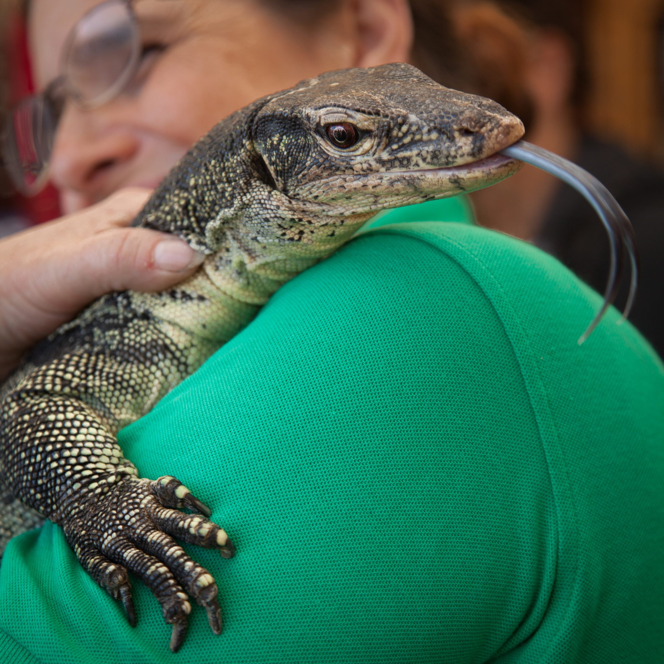 Brad's World Reptiles - Alaska State Fair