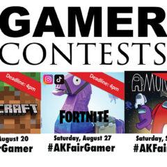 Gamer Contest Rules