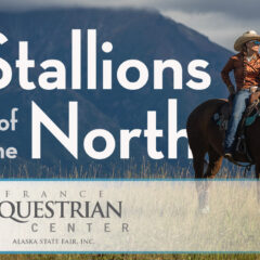 Stallions of the North