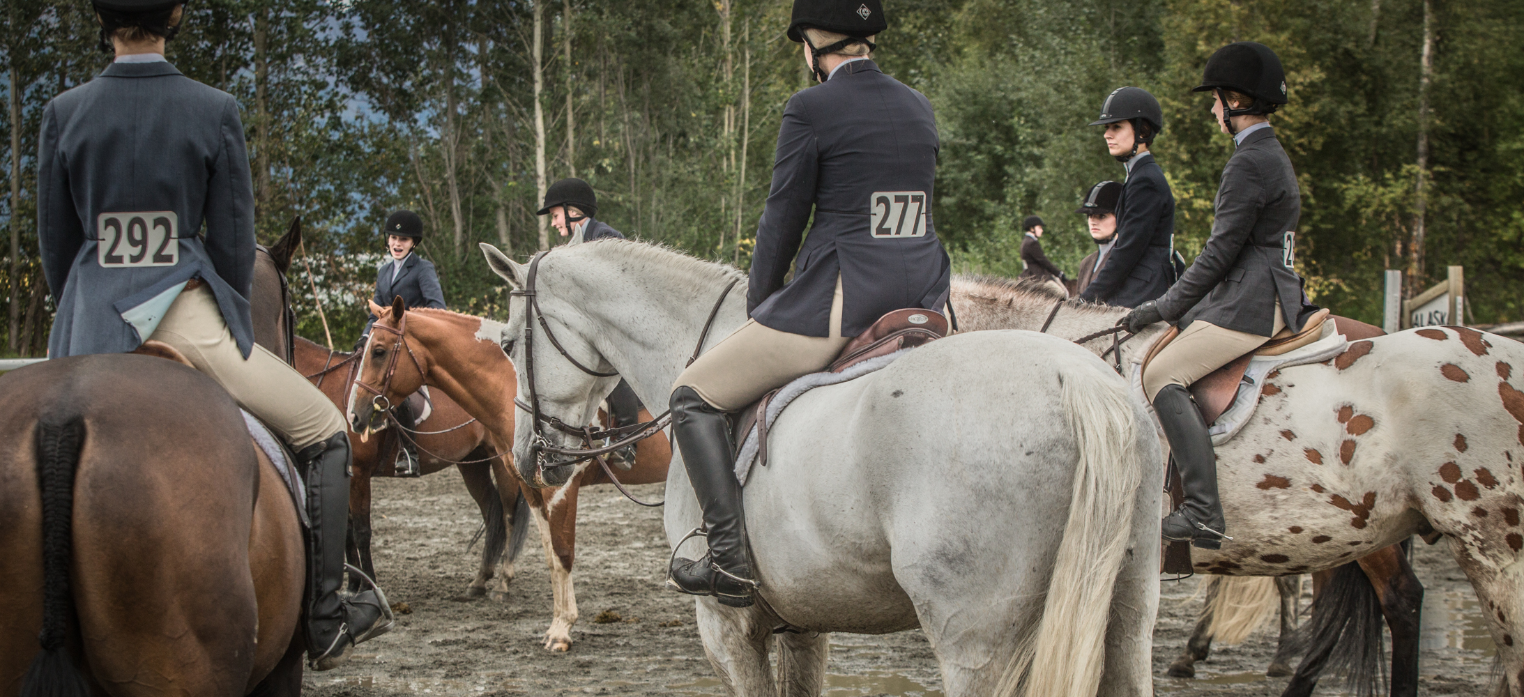 Breed Showcase Alaska State Fair