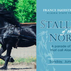 Stallions of the North 2025
