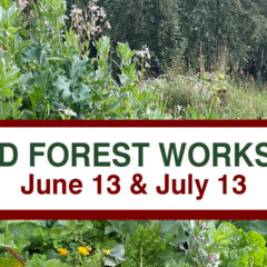 Introduction to Food Forest Workshop