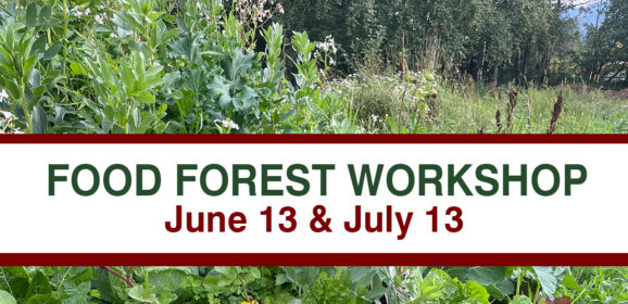 Introduction to Food Forest Workshop